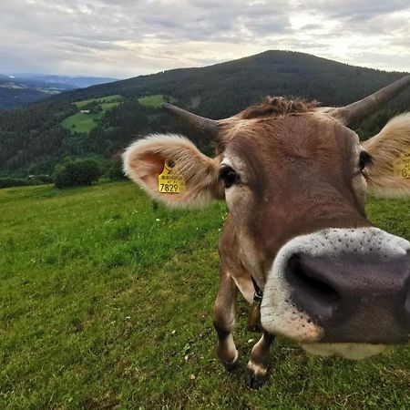 Alpengasthof Fernblick Moenichkirchen Bagian luar foto