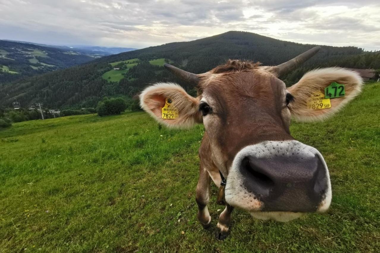 Alpengasthof Fernblick Moenichkirchen Bagian luar foto