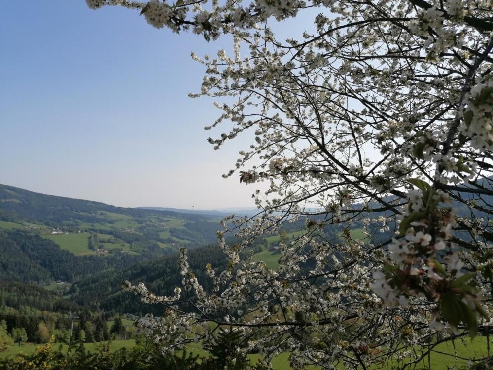 Alpengasthof Fernblick Moenichkirchen Bagian luar foto